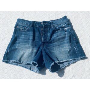 Warp + Weft IBZ High Rise Shorts Quincy Jean Shorts Button Fly Size 6/28 Womens